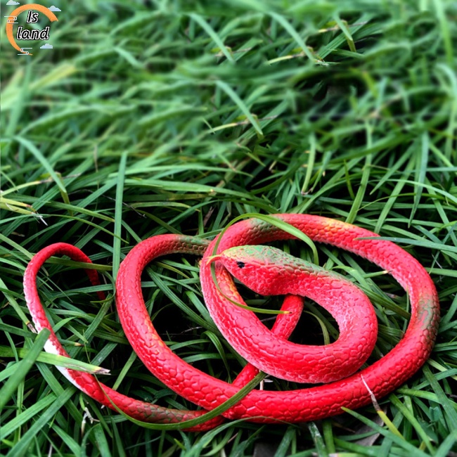 Rắn Cao Su 75cm Dùng Làm Đồ Chơi Halloween Màu Sắc Ngẫu Nhiên