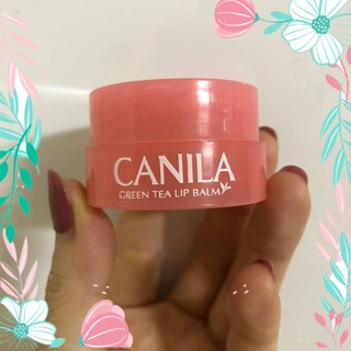 Dưỡng hồng môi matcha dạng hũ son dưỡng lip balm