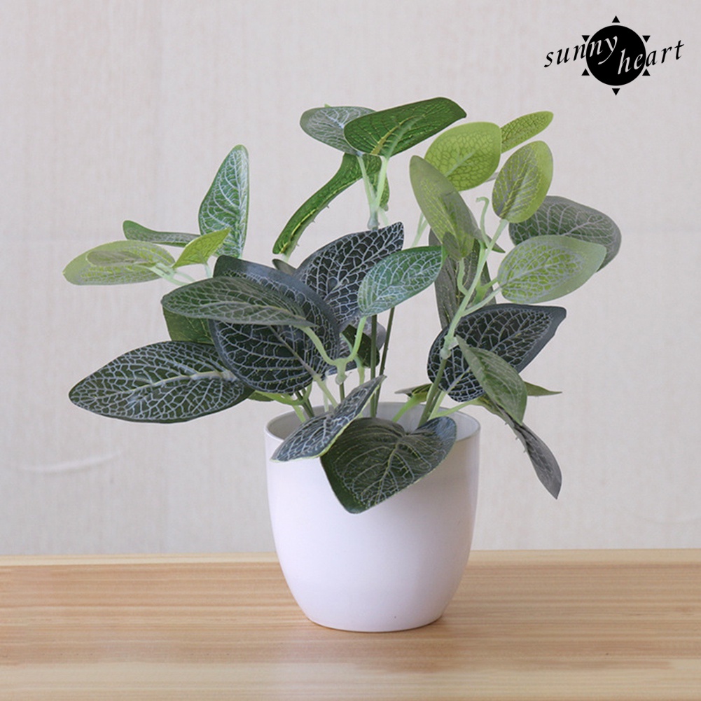 Chậu Cây Bonsai Bằng Nhựa Không Phai Đa Năng Trang Trí Nhà Cửa / Tiệc Cưới