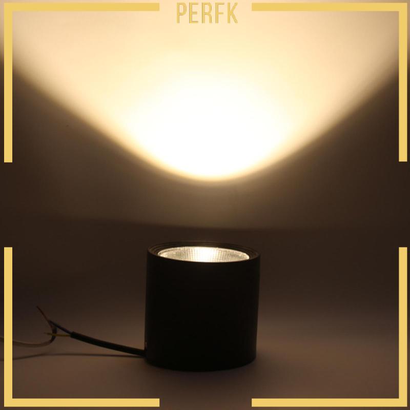 Đèn Led Gắn Trần Nhà Ánh Sáng Đen 12W Trang Trí Phòng Khách / Phòng Tắm