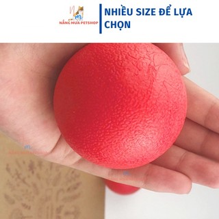 Bóng cao su đặc, đồ chơi cho chó