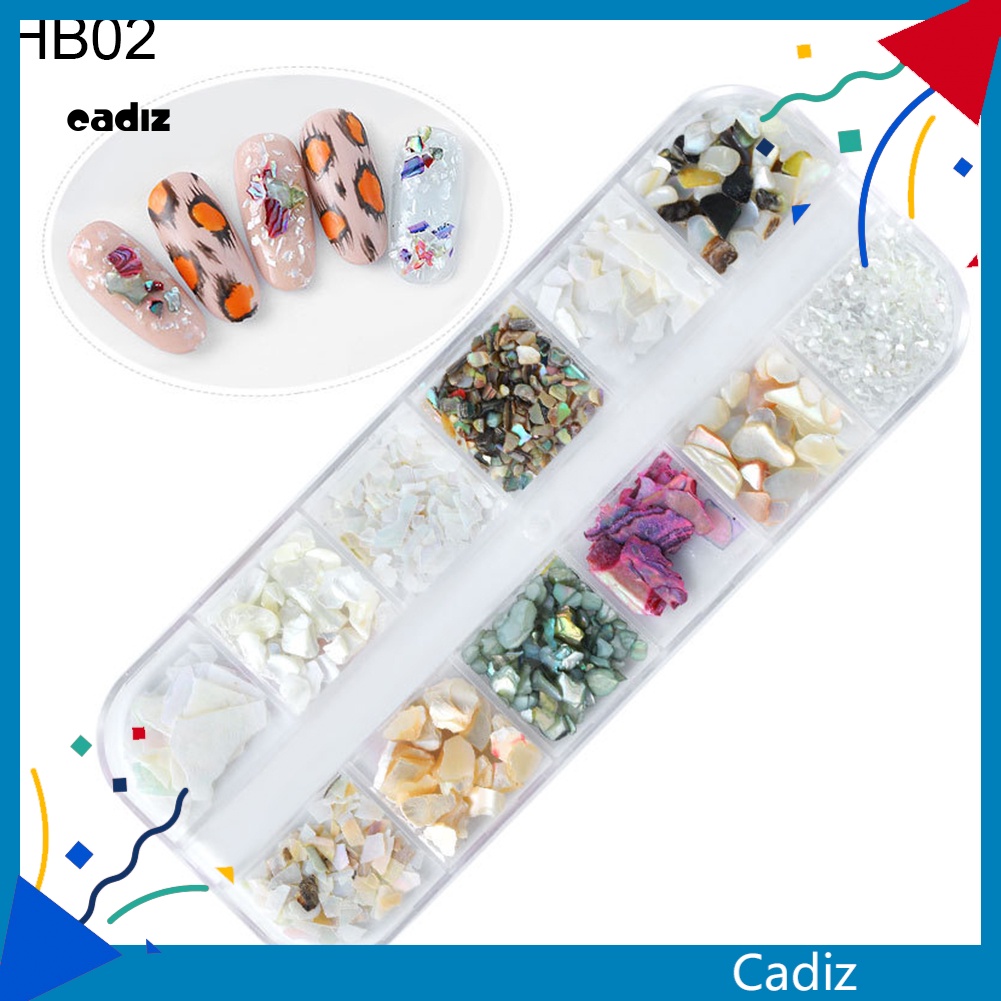 Hộp Vỏ Sò 3D Trang Trí Móng Tay 12 Phong Cách