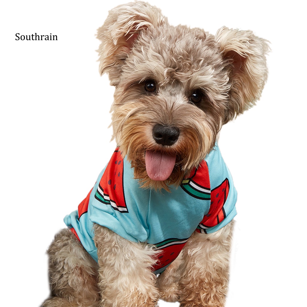 Áo Thun Bằng Polyester Chống Nhăn Thoáng Khí In Họa Tiết Trái Cây Cho Thú Cưng