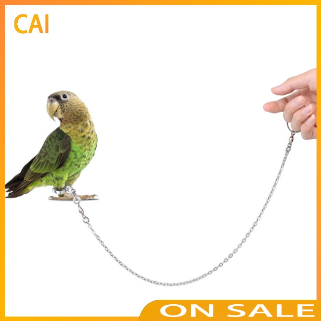 Lắc Chân Nhiều Kích Thước Kèm Khóa Bắt Dây Xích Dành Cho Chim Vẹt