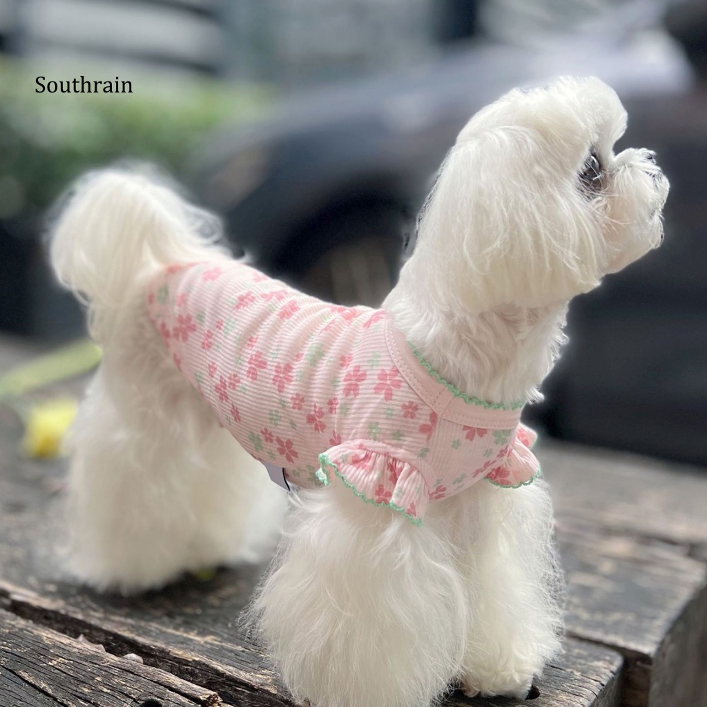 Áo Sát Nách In Họa Tiết Hoa / Trái Cây Tinh Tế Thời Trang Mùa Hè Cho Cún Cưng