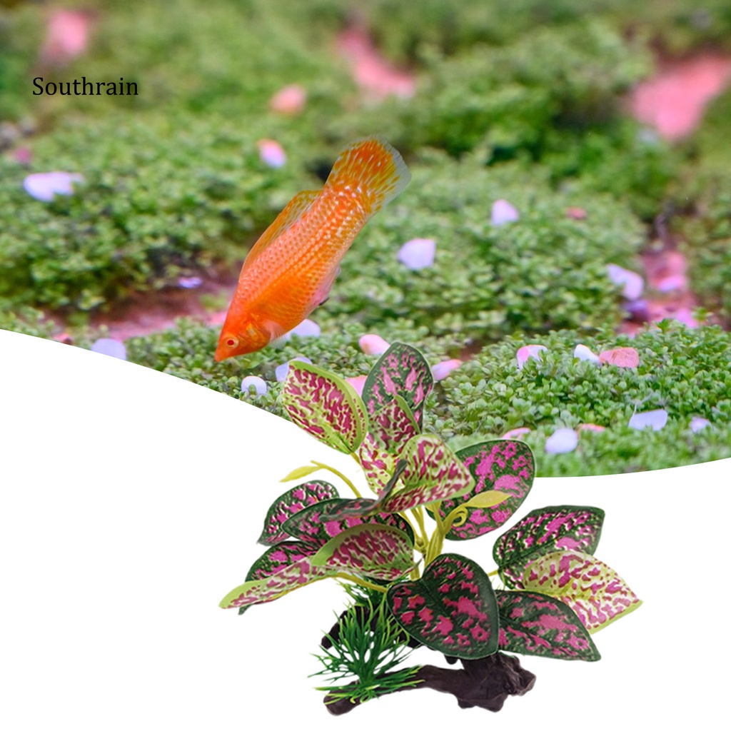 Cỏ NhựA NhiềU KiểU DáNg An ToàN Trang Trí Bể Cá
