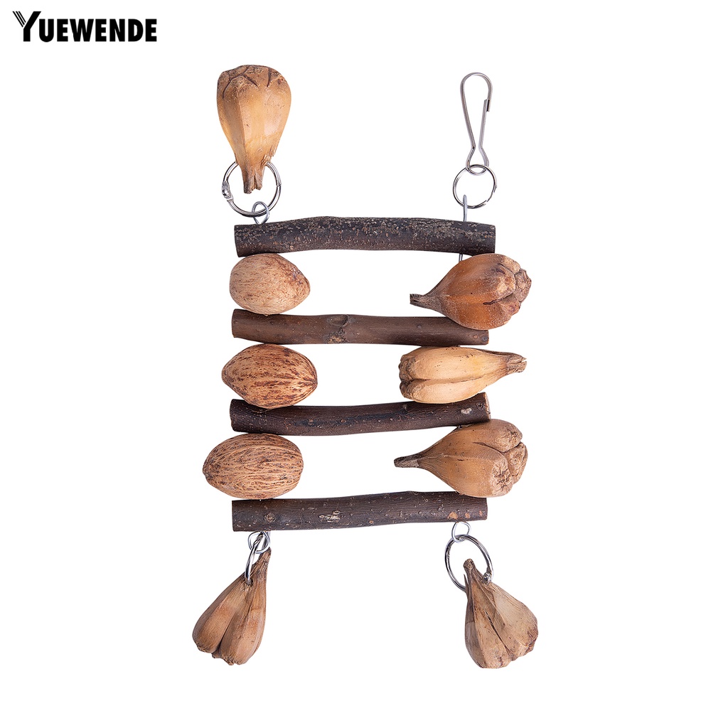 Đồ Chơi Tháo Lắp Linh Hoạt Chống Trầy Xước An Toàn Cho Vẹt Macaw