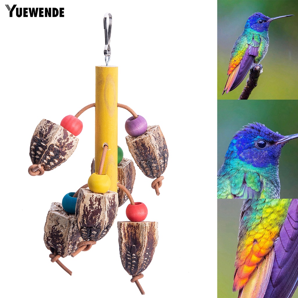 Đồ Chơi Treo Mài Răng Chống Cắn Cho Chim Vẹt Cỡ Vừa Và Vừa