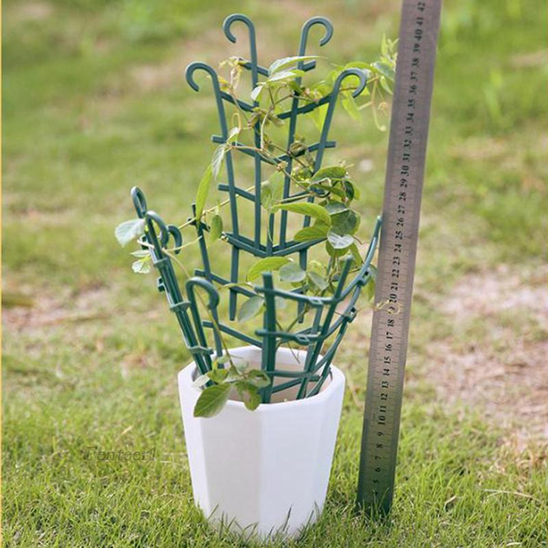 [Fenteer1] Chậu Trồng Cây Dây Leo Nhỏ Trong Nhà DIY