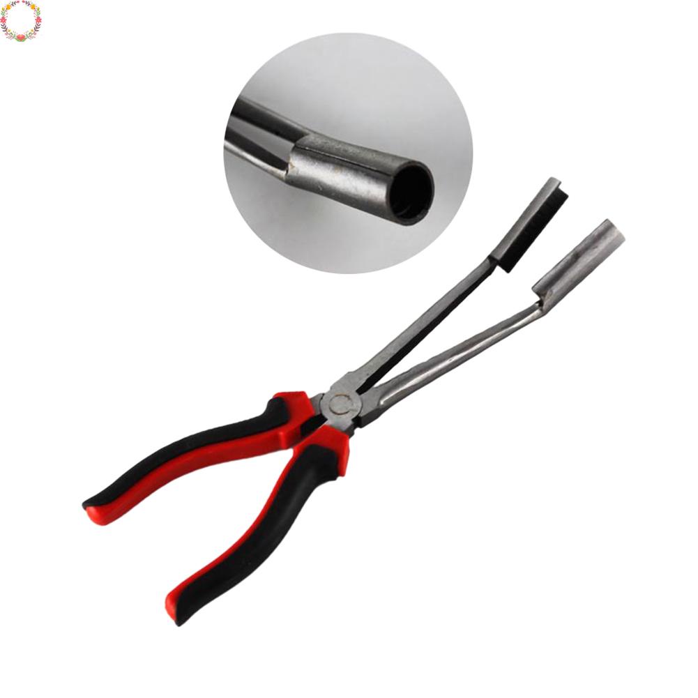 100% 100% 100% 100% 100% 100% 100% 100% 100% 100% 100% 100% 100% 100% 100% 100% 100% 100% 100% 100%