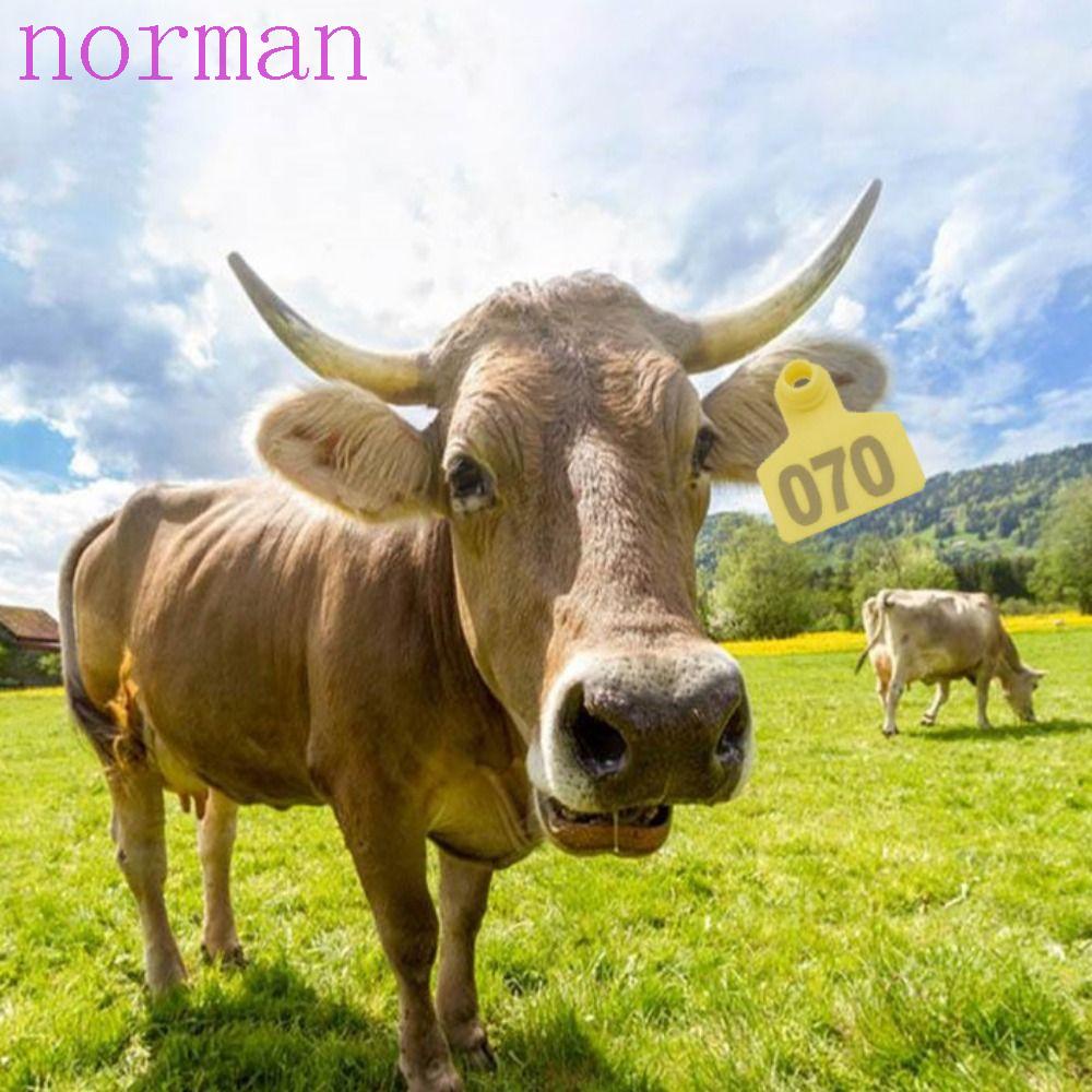 NORMAN Set 100 Chiếc Bông Tai Nhiều Màu Sắc Bằng Chất Liệu TPU Bền Bỉ