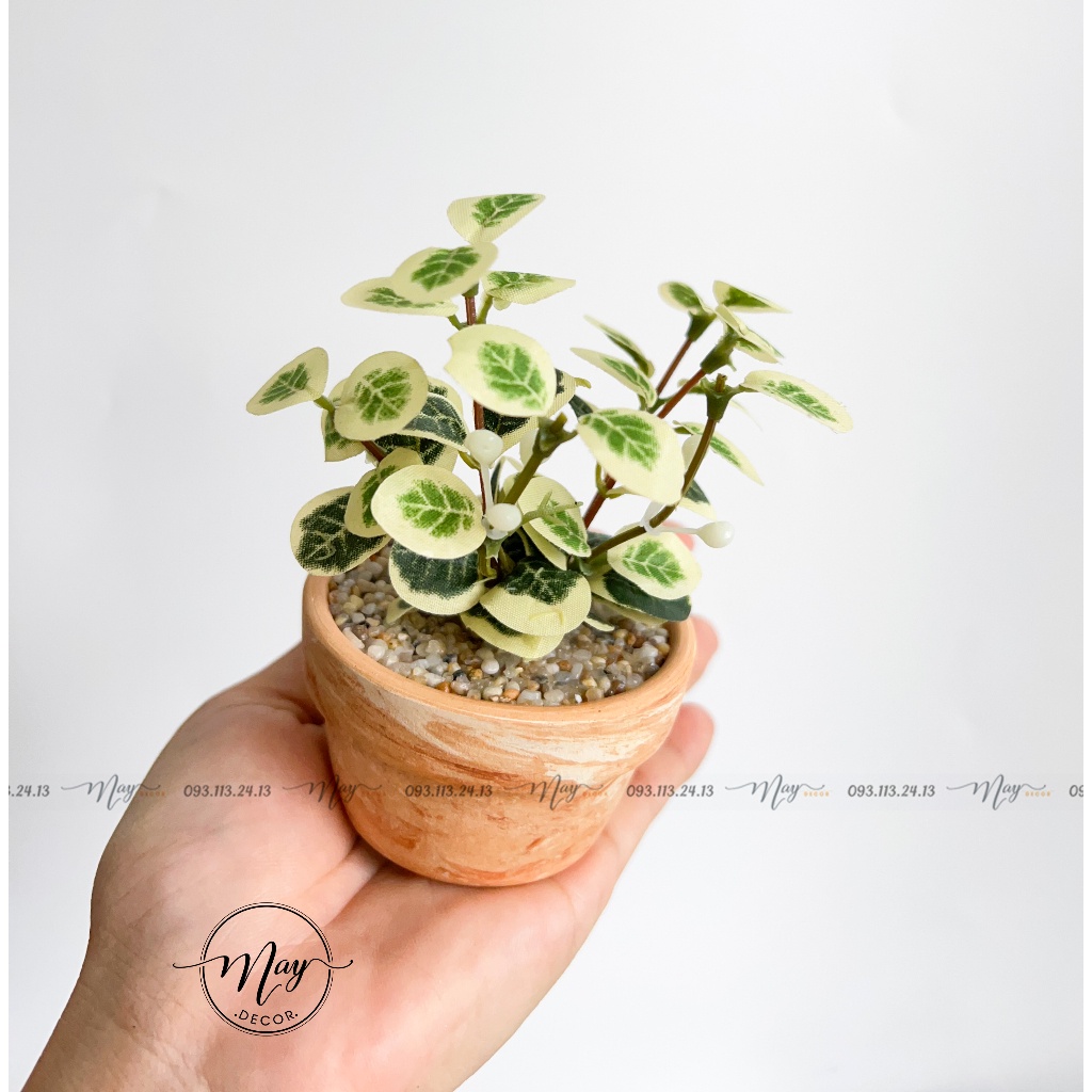 Cây giả, Chậu cây giả mini trang trí
