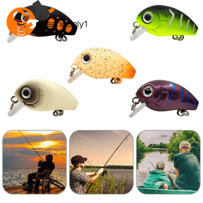 Bộ Mồi Câu Cá Giả Mini 5 Màu Cứng 30mm / 2.05g