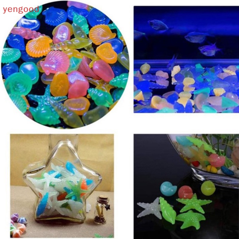 Set 100 Vỏ Sò Dạ Quang Trang Trí Bể Cá