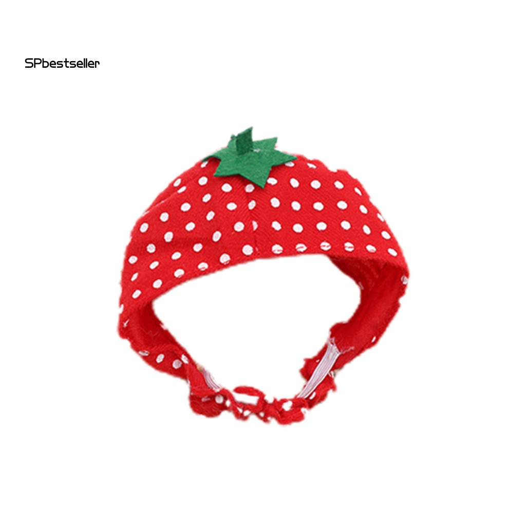 Mũ Chống Nắng Lâu Trôi In Họa Tiết Trái Cây Vui Nhộn Cho Thú Cưng