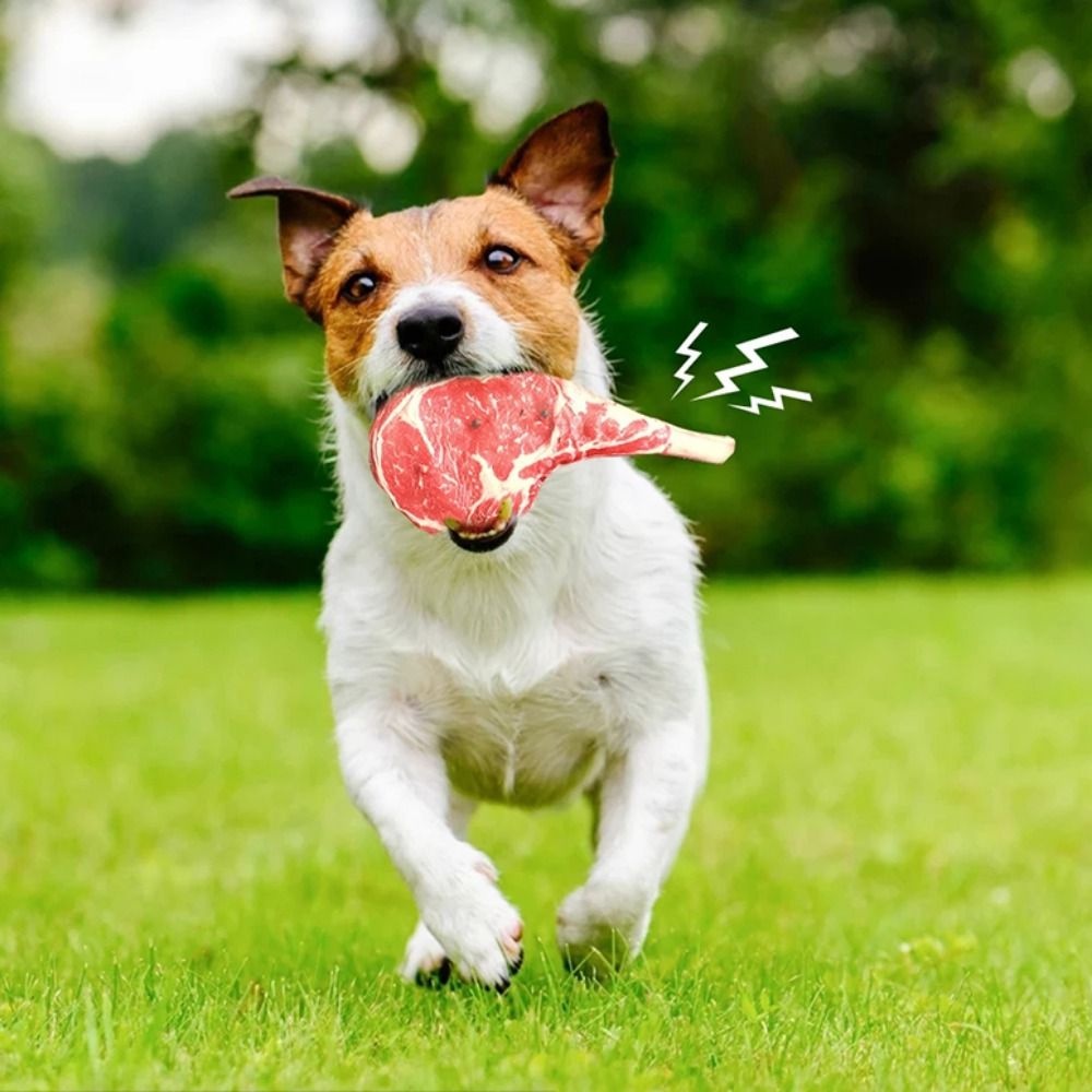 YIYU Steak Đồ Chơi Mô Phỏng Bằng Cotton Mềm Mại Phát Ra Âm Thanh Vui Nhộn Cho Thú Cưng