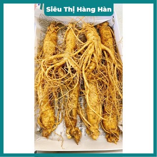 SÂM 8 CỦ\KG _ BÁN LẺ 1 CỦ Sâm hàn quốc