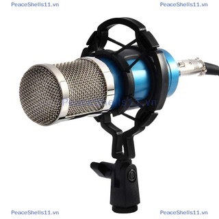 Peaceshells universal professional condenser microphone mic shock mount holder studio recording for large diaphram mic clip black.