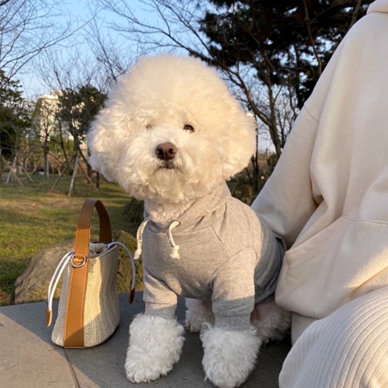 Dễ Thương Áo hoodie Màu Trơn Giữ Ấm Cho Thú Cưng