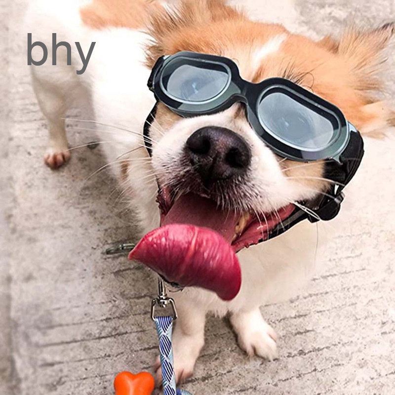 Kính Mát Gọng Đen Bảo Vệ Mắt Cho Cún Cưng Nhỏ