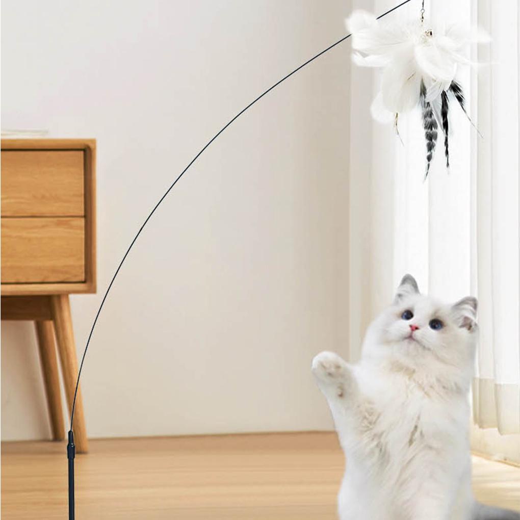 Đồ Chơi Đầu Lông Vũ Bằng Dây Thép PVC Thay Thế Cầm Tay Cho Phòng Khách / Thú Cưng