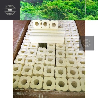 Sứ thanh hoa mai vàng | Vật liệu lọc nước loại lớn 15x4cm