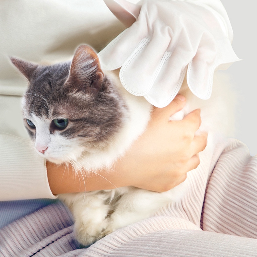 Bộ 5 Găng Tay Massage Dùng Một Lần Kháng Khuẩn Đa Năng Cho Thú Cưng