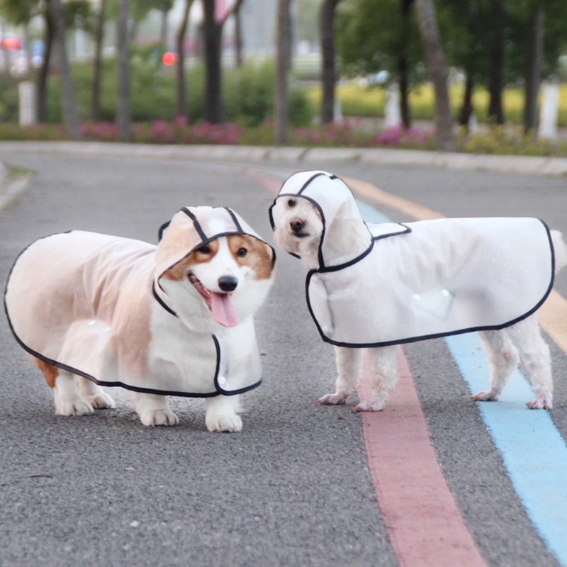 REITINGE  Áo Mưa Trong SuốT Cho Thú Cưng