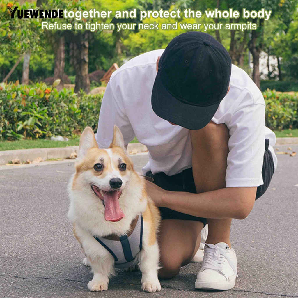 Dây Dắt Thú Cưng Đi Dạo Chống Cắn Màu Sắc Tươi Sáng