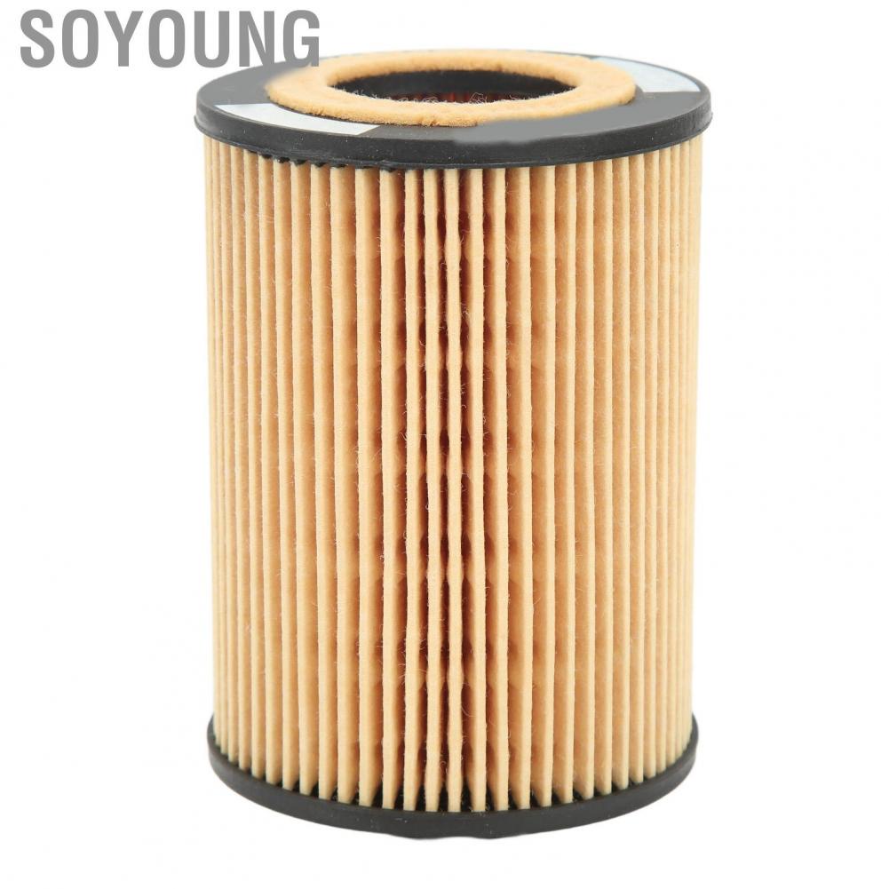 Soyoung 11427511161  Stable Performance Clean Impurities Engine Oil Filter Easy To Install for E53 E60 E63 E65 E66