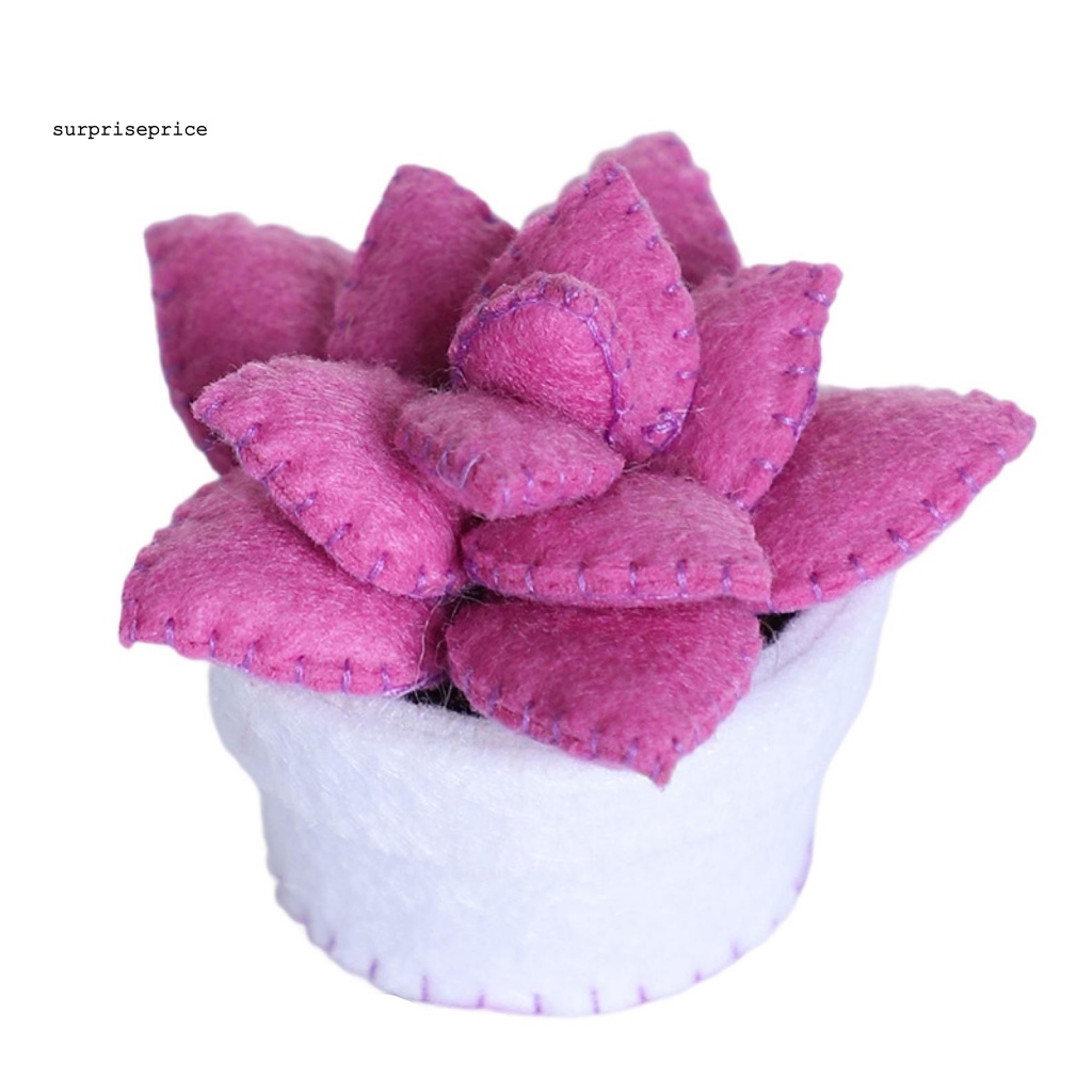 1 Gói Cây Mọng Nước Giả Bằng Vải Không Dệt Thân Thiện Với Môi Trường Cho Người Mới Bắt Đầu