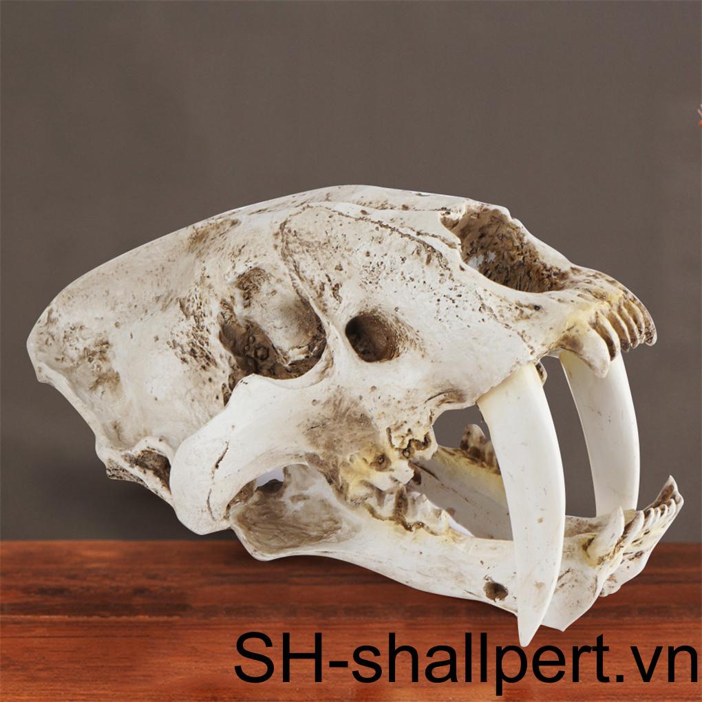 Mô Hình Đầu Lâu Răng Hổ Smilodon Saber Phong Cách Gothic Sáng Tạo Trang Trí Tiệc Halloween