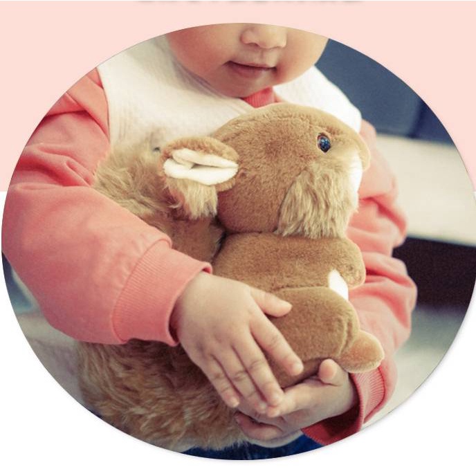 Thú Nhồi Bông Hình Chú Sóc Đuôi To Dễ Thương