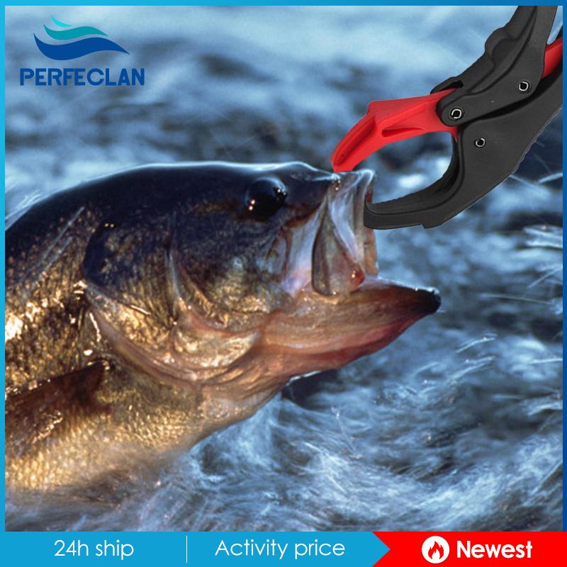 Giá Đỡ Kẹp Môi Cá Đa Năng Tiện Dụng Khi Đi Cắm Trại