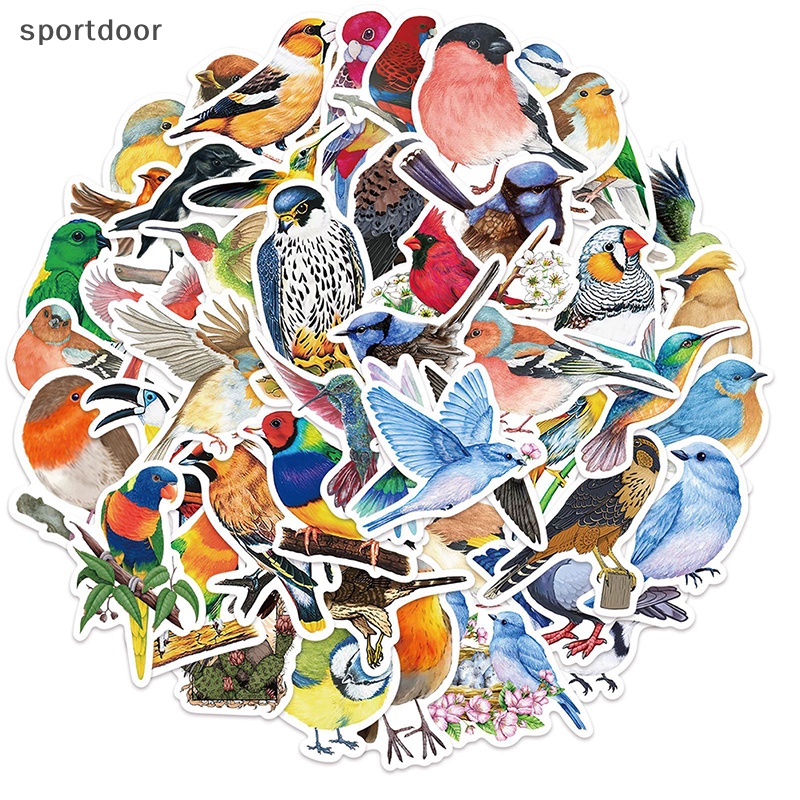 Bộ 50 Miếng Dán Hình Chim Màu Nước Dễ Thương Trang Trí Sổ Tay / Vali DIY