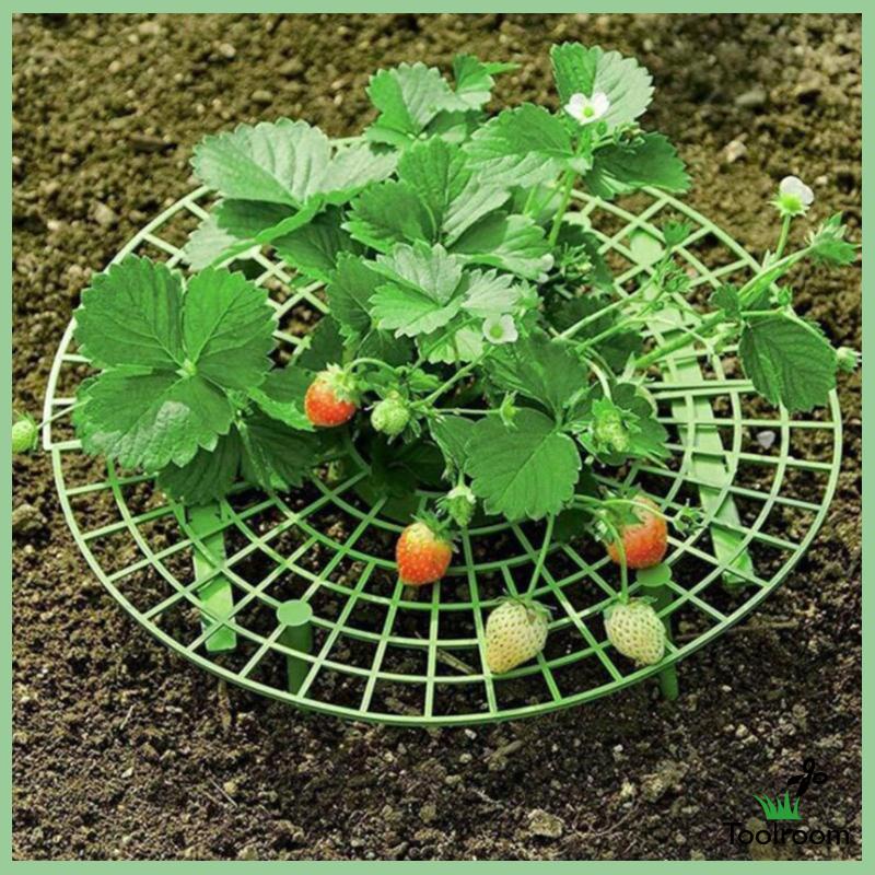 Giá Đỡ Hỗ Trợ Trồng Dâu Tây Tiện Dụng Cho Sân Vườn