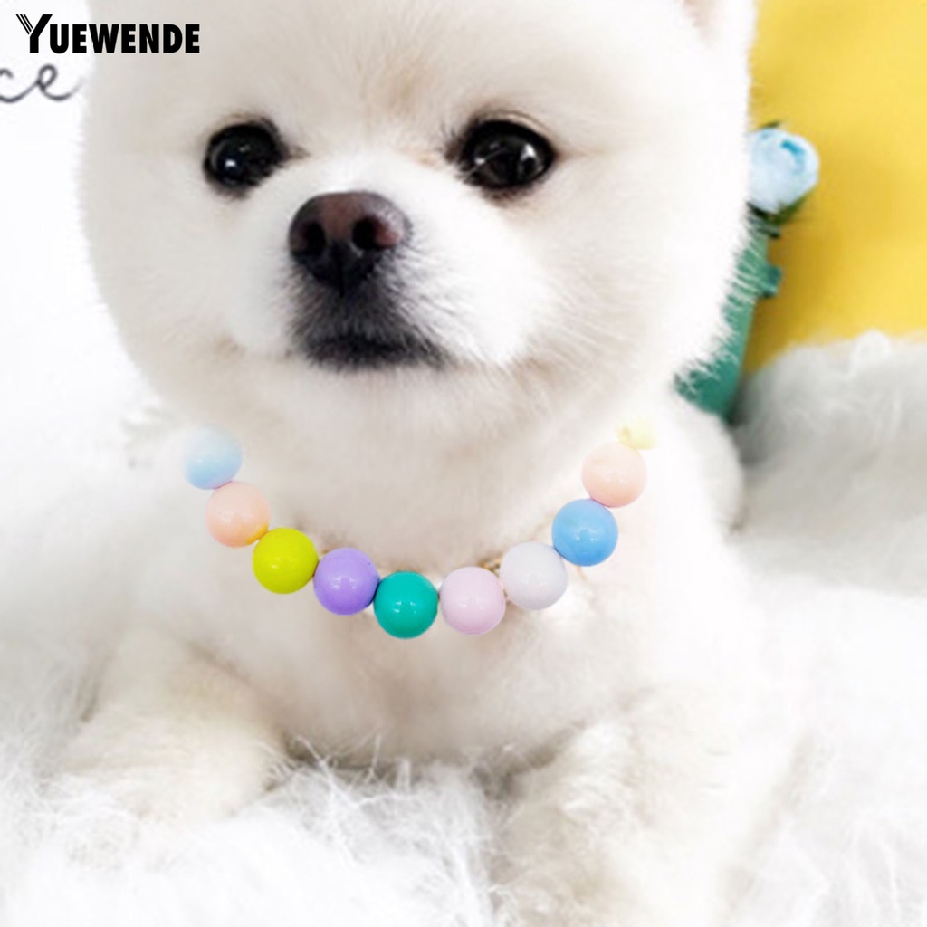 Vòng Cổ Chuỗi Hạt Bằng Nhựa Siêu Nhẹ Nhiều Màu Sắc Cho Mèo Cưng YQ.E