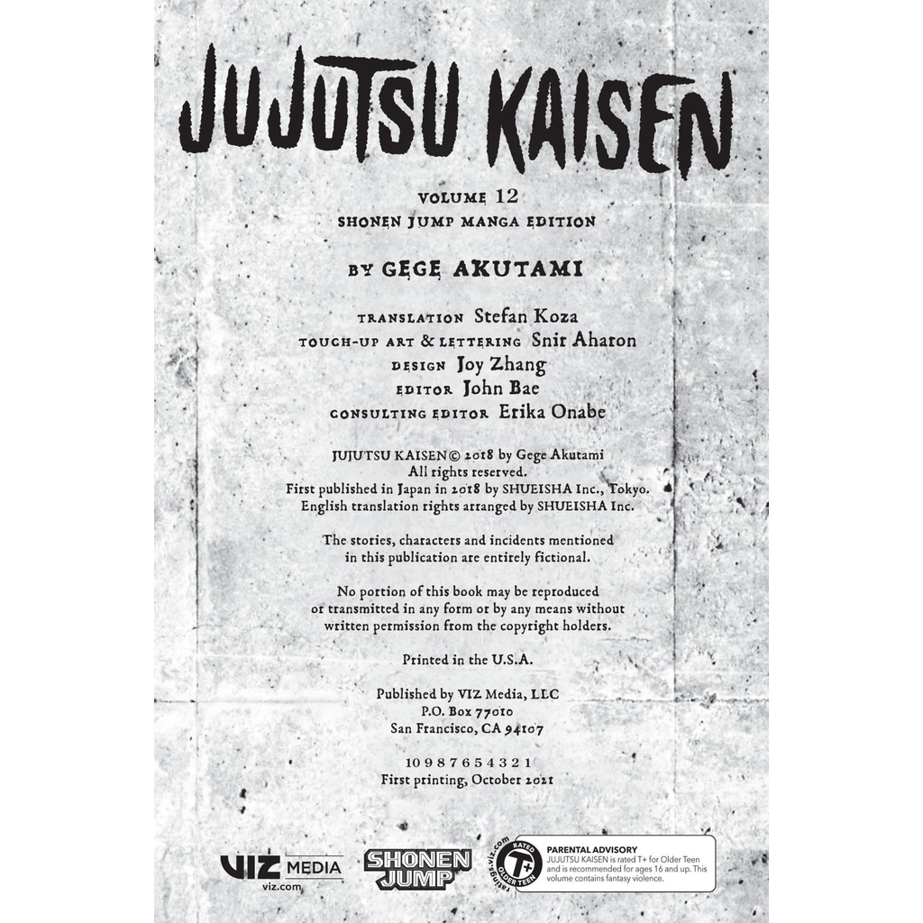 Jujutsu Kaisen 12