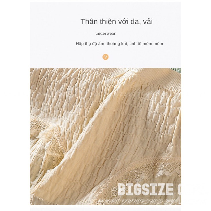 Quần lót nữ cotton vải mềm viền ren Bigsize quần chip nữ dễ thương  70kg 80kg 100kg thoáng khí Kháng Khuẩn hút mồ hôi co giãn 4 chiều cao cấp