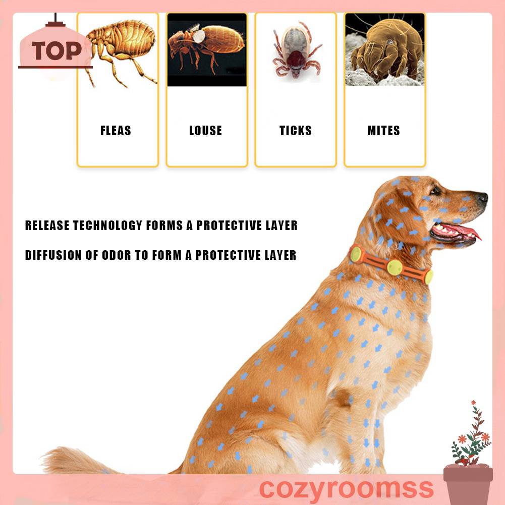 Vòng Cổ ChốNg BọC Cho Thú Cưng