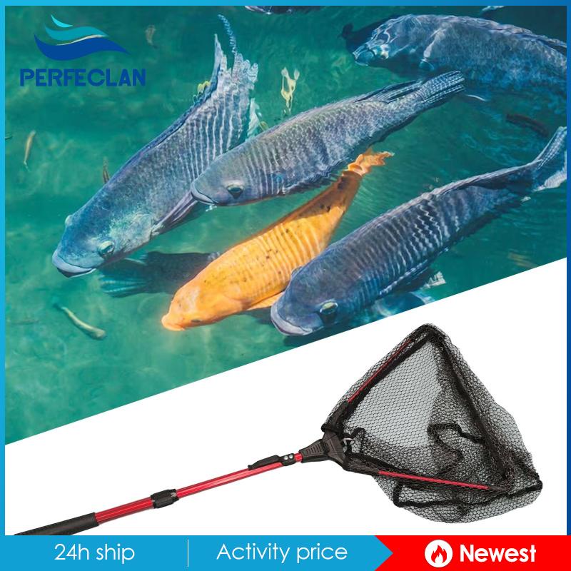 Lưới Đánh Bắt Cá Nước Mặn, Cá Hồi