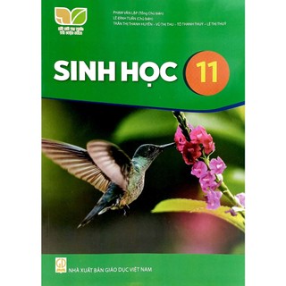 Sách Sinh Học 11 (Kết Nối Tri Thức) (2023)
