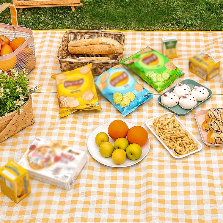 Thảm Trải Đi Du Lịch - Tấm Bạt Dã Ngoại Picnic Cắm Trại Đi Chơi Biển Đi Phượt Gấp Gọn Sọc Kẻ Caro
