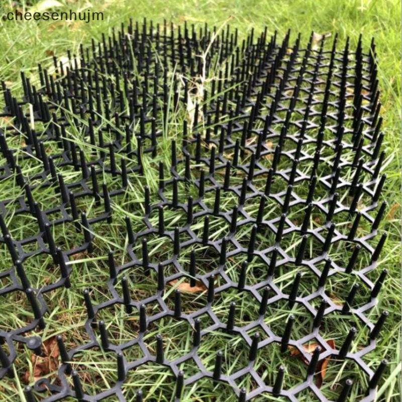 1 Thảm Lót Chống Chó Mèo / Côn Trùng Tiện Dụng