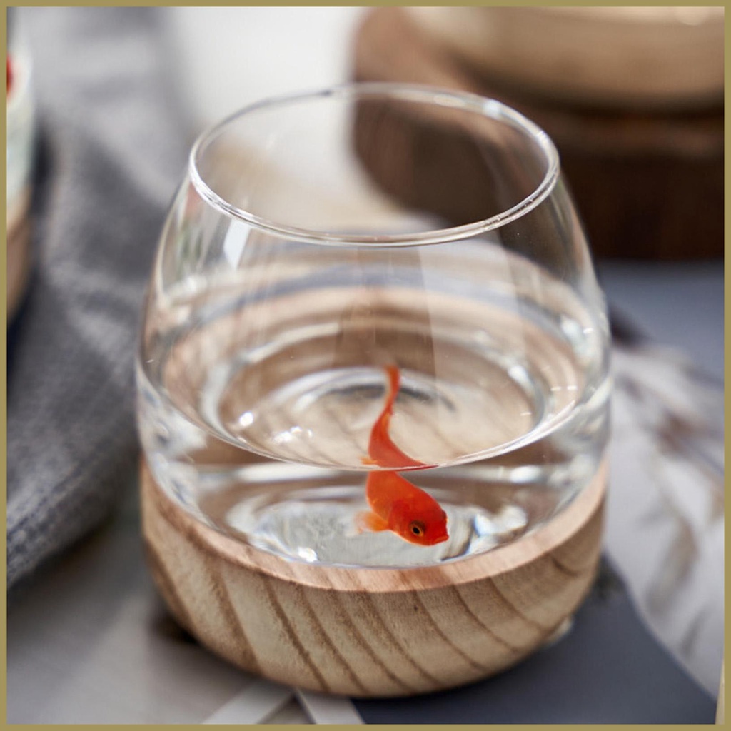 Bình Hoa Thủy Canh Trong Suốt Có Đế Sinh Thái Trang Trí Bể Cá paca3vn