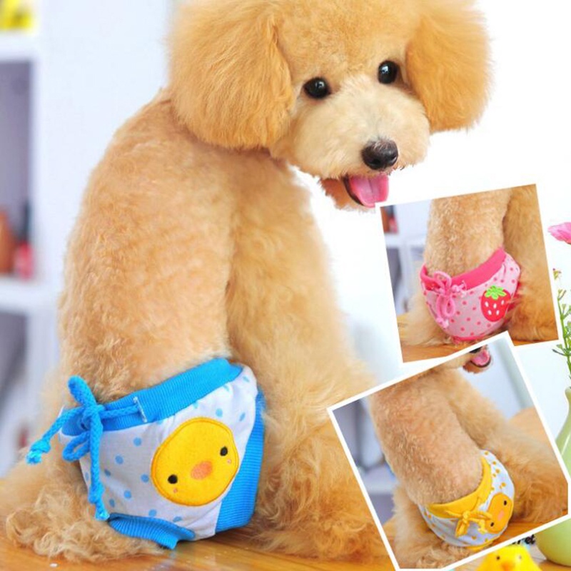 Chó dễ thương sinh lý quần lót tã quần vệ sinh dễ thương phim hoạt hình động vật