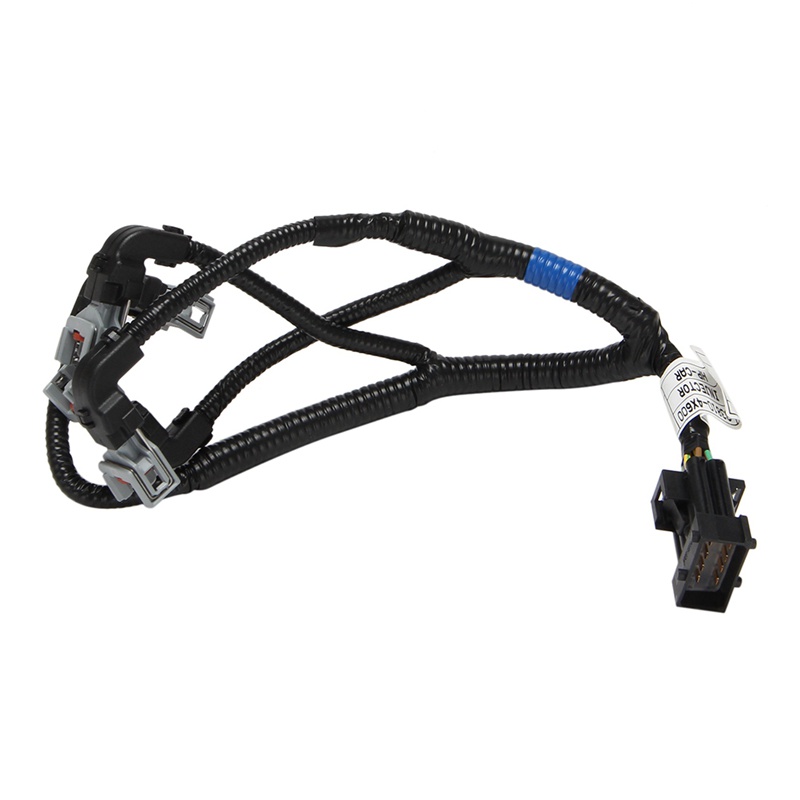 Vòi Phun Nhiên Liệu Cho Hyundai Terracan 2001-2006 33810 4X600 33810-4X600 338104Phụ Kiện Chuyên Dụng Cho Xe Hơi X6000X6000