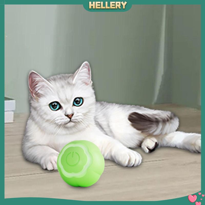 Đồ Chơi Tương Tác Với Mèo Có Đèn LED Độc Đáo