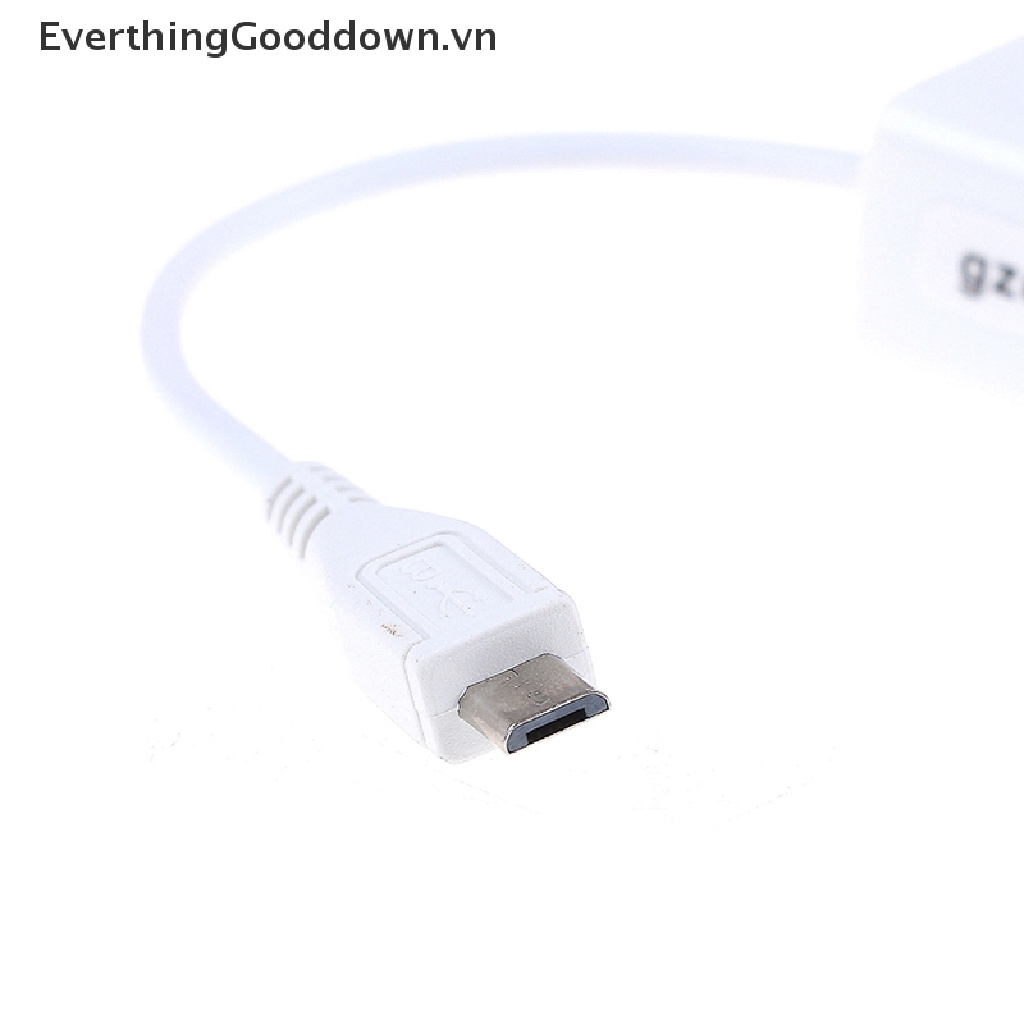 Everthingooddown adapter 5-Pin micro usb 2.0 Sang RJ45 LAN ethernet 100mbps Cho Máy Tính Bảng vn