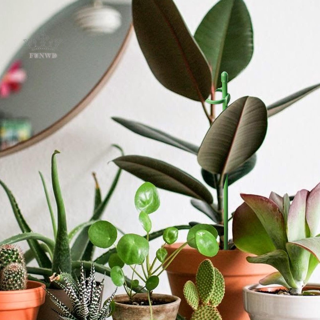 Giá Đỡ Hỗ Trợ Cây Cà Chua Leo Tiện Dụng Cho Sân Vườn